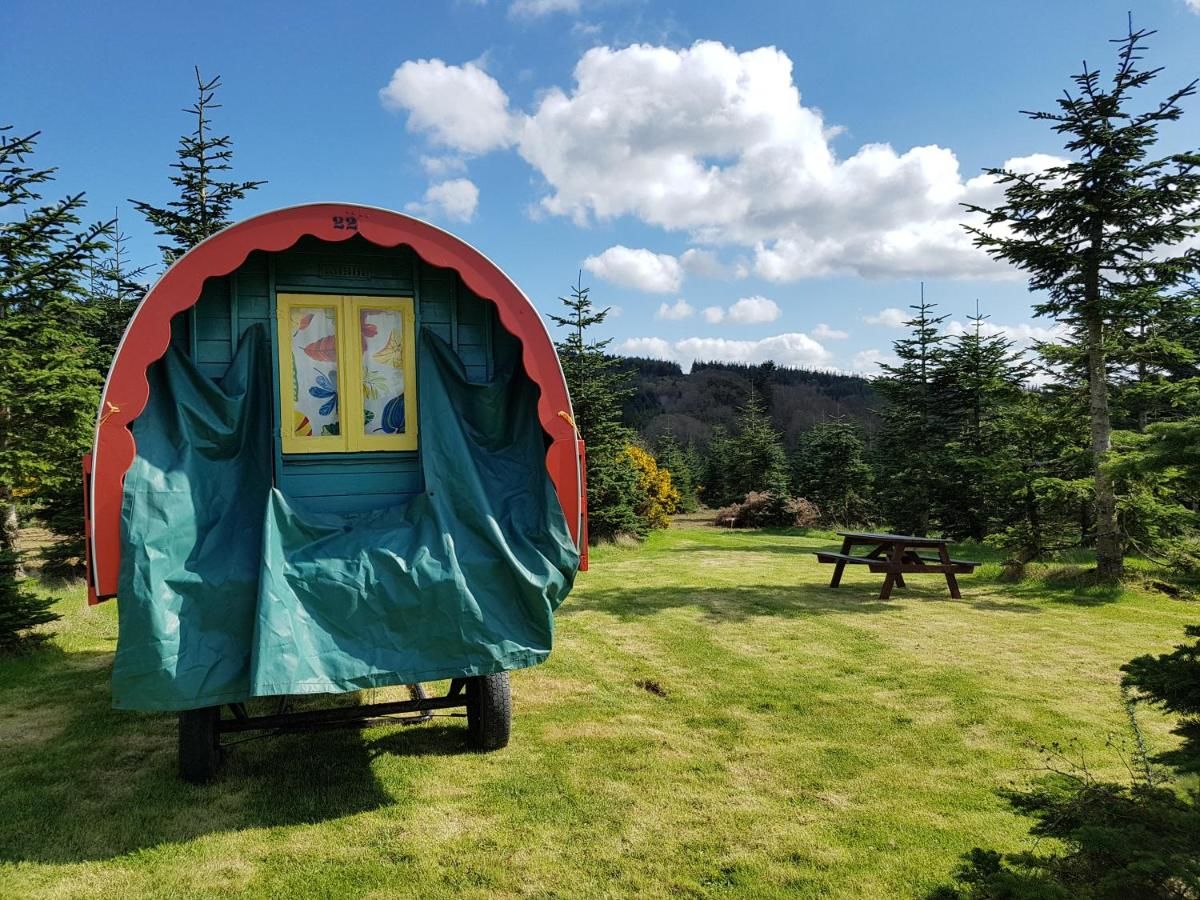Люкс-шатры Clissmann Horse Caravans Glamping Ратдрам-4