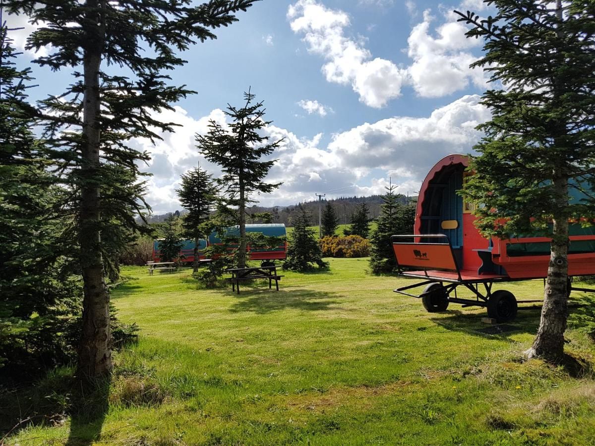 Люкс-шатры Clissmann Horse Caravans Glamping Ратдрам-15