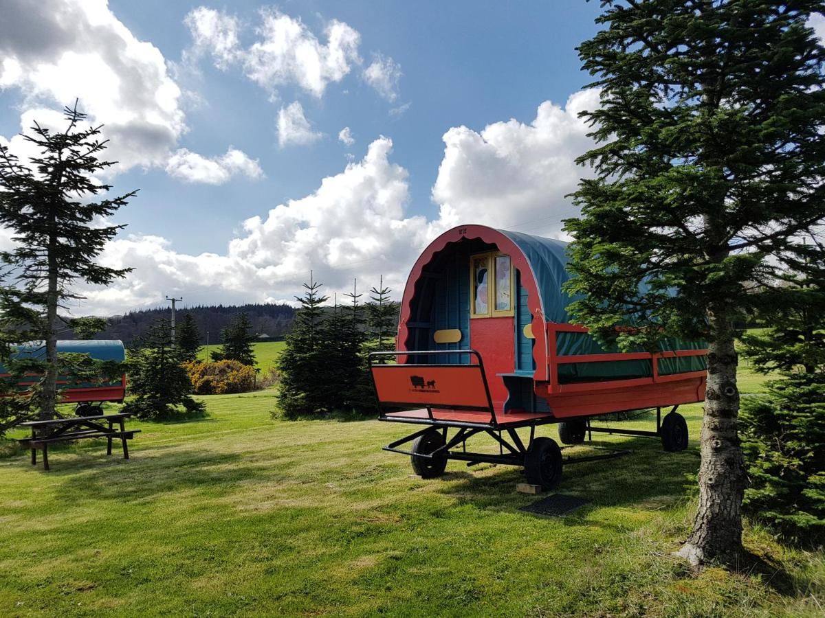 Люкс-шатры Clissmann Horse Caravans Glamping Ратдрам-20