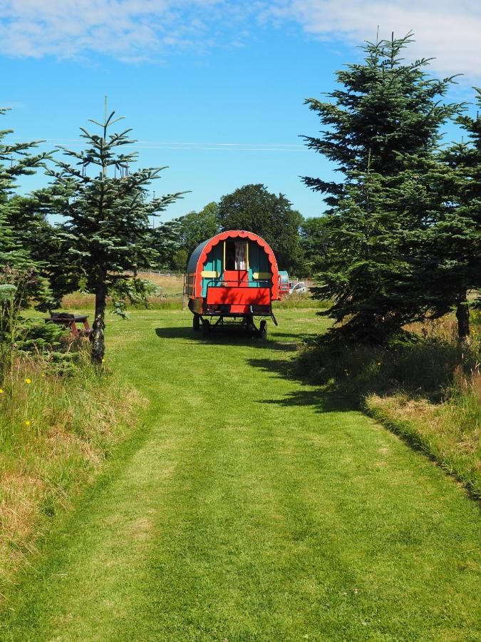 Люкс-шатры Clissmann Horse Caravans Glamping Ратдрам-22