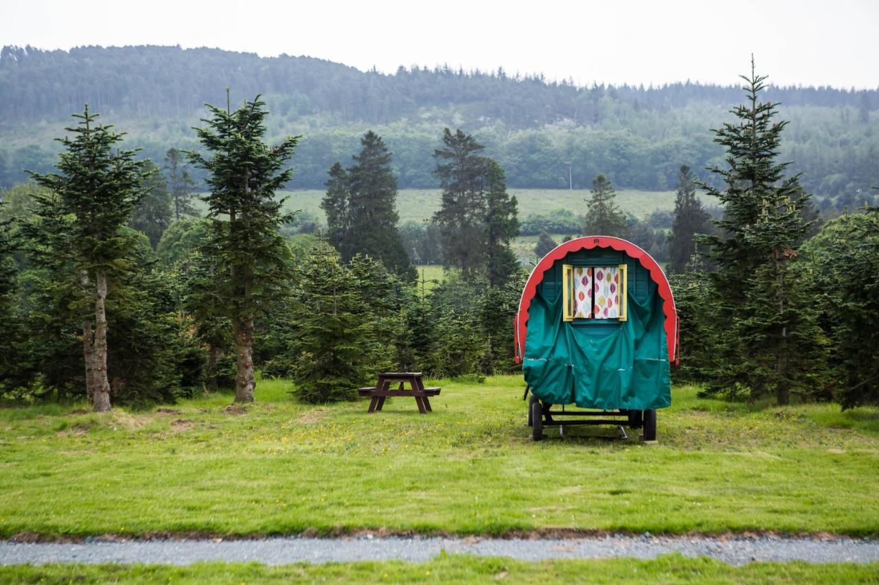 Люкс-шатры Clissmann Horse Caravans Glamping Ратдрам-26