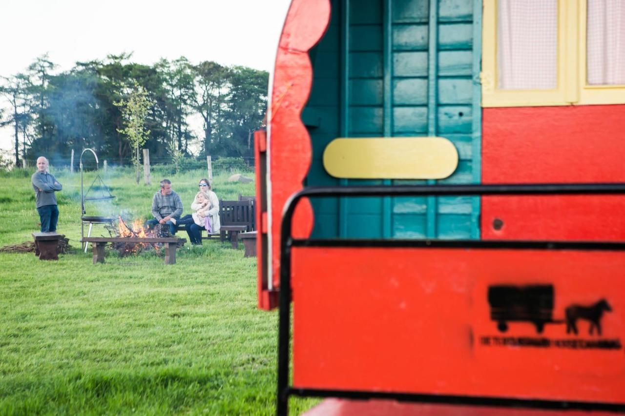 Люкс-шатры Clissmann Horse Caravans Glamping Ратдрам-10